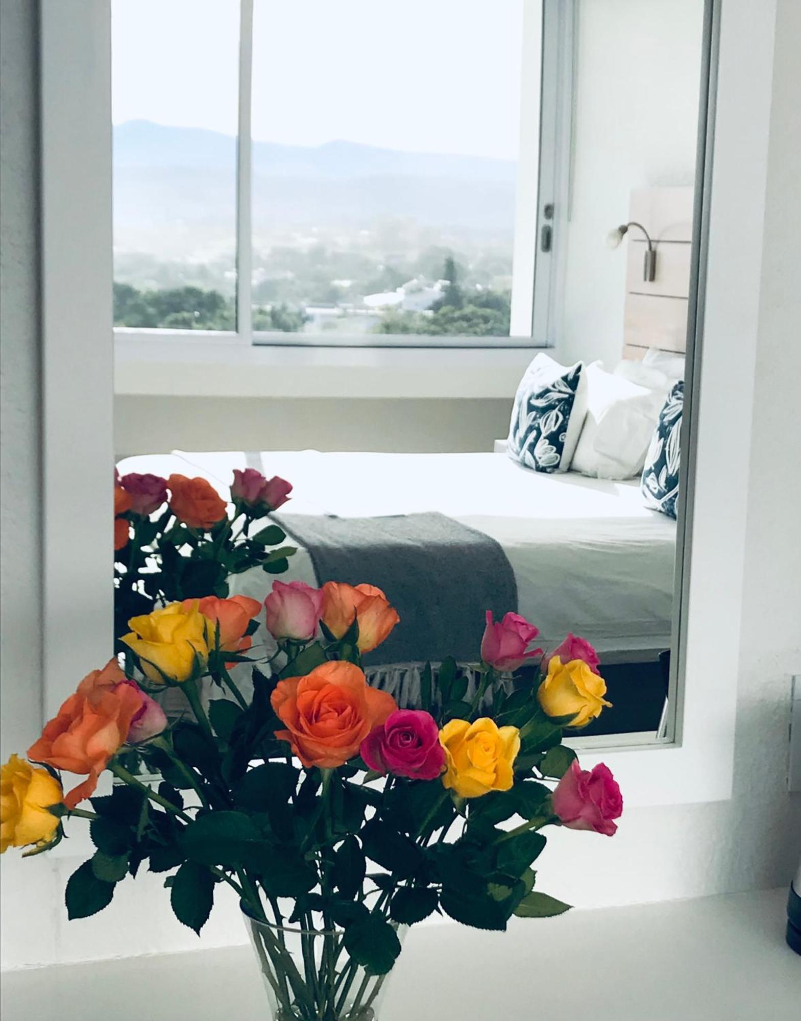 Lookout Lodge プレッテンバーグ・ベイ 部屋 写真